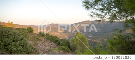 Israeli mountain landscape panoramic view 120031826