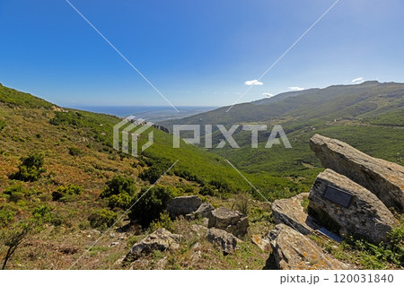 Panoramic view of Corsicas eastern coastline captured from the mountainous inland with lush greenery 120031840