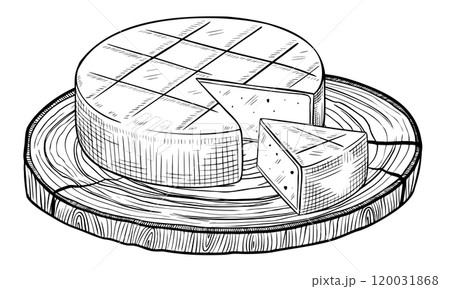 Cheese wheel on wooden cutting board vector illustration. Drawing with slice of farm dairy product painted by black inks. Linear etching of rustic food for cookery book and recipe. 120031868