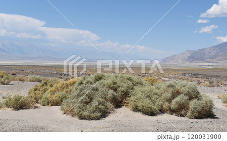View of the Death Valley, California mountains and desert background, USA national parks landscape 120031900