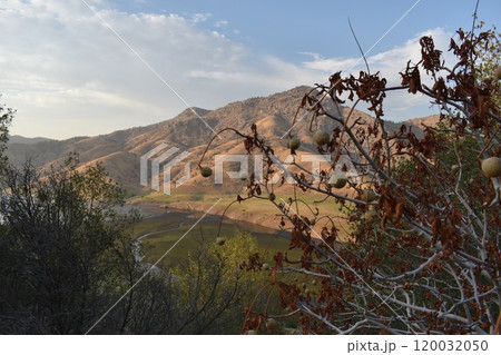 California hills background, view of mountains and river in the valley, natural landscape, wildlife at sunset, hills and plains California hills background, view of mountains and river in the valley, natural landscape, wildlife at sunset, hills and plains 120032050