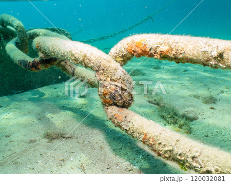 Anchor chain on the bottom of the Adriatic Sea near Losinj, Croatia 120032081