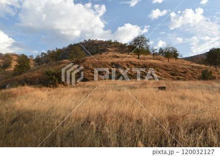 California hills background, view of mountains and river in the valley, natural landscape, wildlife at sunset, hills and plains 120032127
