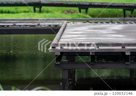 厳島湿地公園 120032146