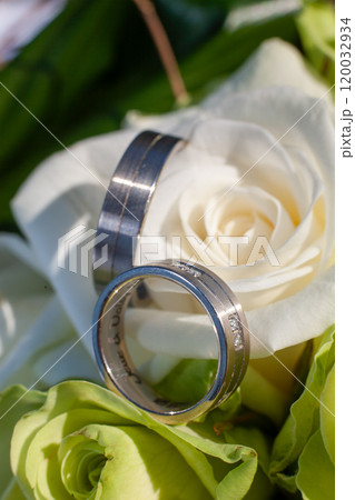 Exquisite and Elegant Wedding Rings Delicately Placed on Beautiful Rose Petals for Love Exquisite and Elegant Wedding Rings Delicately Placed on Beautiful Rose Petals for Love 120032934