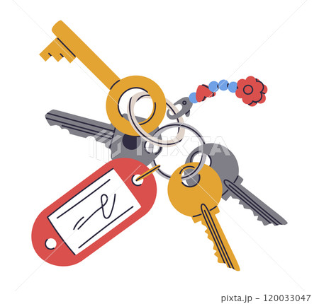 House door keys. Cartoon real estate property entrance keys bunch with keyring and plastic tag flat vector illustration. Apartment keys with keychain 120033047