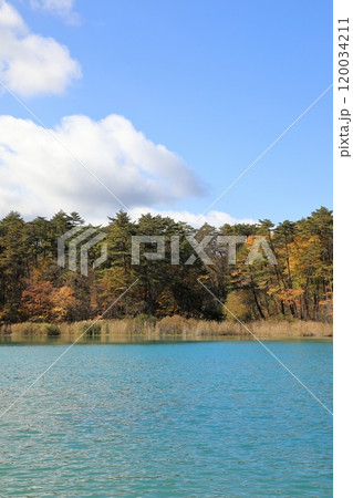 秋の五色沼湖沼群の弁天沼の風景 秋の五色沼湖沼群の弁天沼の風景 120034211