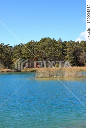 秋の五色沼湖沼群の弁天沼の風景 秋の五色沼湖沼群の弁天沼の風景 120034212
