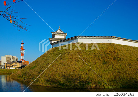 清明台櫓と青空　水面に映える景観　宇都宮城址公園 120034263