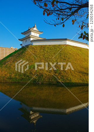 清明台櫓と青空　水面に映える景観　宇都宮城址公園 120034268