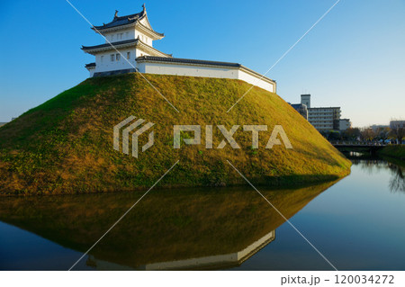 清明台櫓と青空　水面に映える景観　宇都宮城址公園 120034272