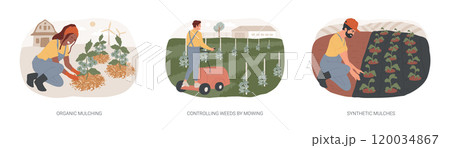 Weed management isolated cartoon vector illustrations se 120034867