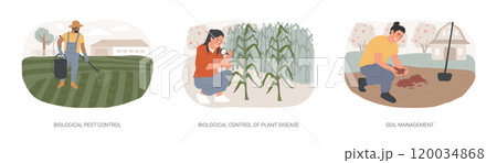 Organic farming industry isolated cartoon vector illustrations se 120034868