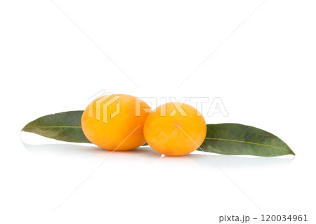 Marian plum Thai fruit isolated on white background. Mayongchid. Maprang. Marian Plum. Plum Mango Marian plum Thai fruit isolated on white background. Mayongchid. Maprang. Marian Plum. Plum Mango 120034961