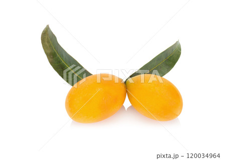 Marian plum Thai fruit isolated on white background. Mayongchid. Maprang. Marian Plum. Plum Mango Marian plum Thai fruit isolated on white background. Mayongchid. Maprang. Marian Plum. Plum Mango 120034964
