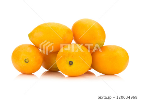 Marian plum Thai fruit isolated on white background. Mayongchid. Maprang. Marian Plum. Plum Mango 120034969