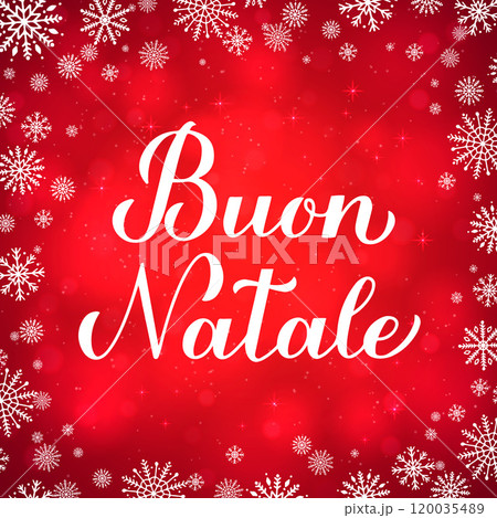 Buon Natale calligraphy hand lettering on red background with bokeh and snowflakes. Merry Christmas typography poster in Italian. Vector template for greeting card, banner, flyer, invitation, etc. 120035489