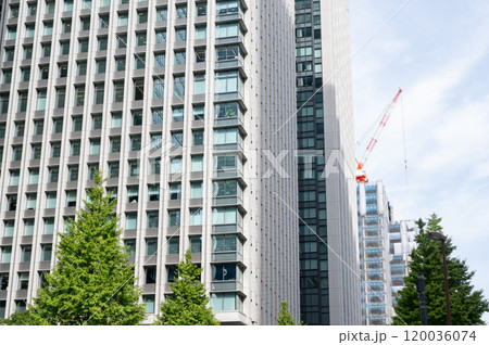 高層ビル群を見上げる(東京駅周辺) 高層ビル群を見上げる(東京駅周辺) 120036074