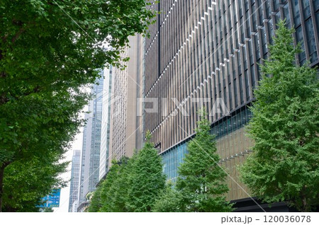 緑の多いオフィス街の風景（東京駅周辺） 120036078