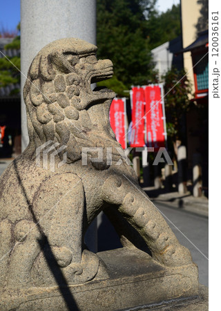 大阪福島了徳院参道の狛犬-3 120036161