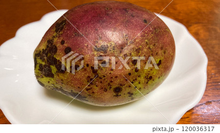 ムベの実 120036317