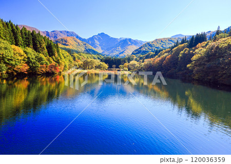 紅葉の大源太湖 120036359