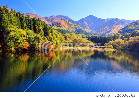 秋の大源太山 120036363