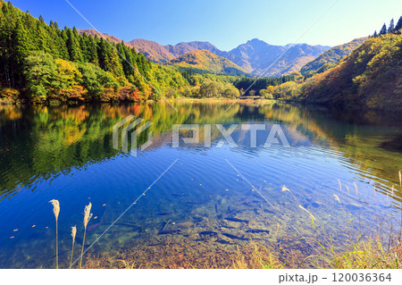 紅葉の湖と大源太山 120036364