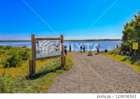 北海道　苫小牧市にある ウトナイ湖 120036561