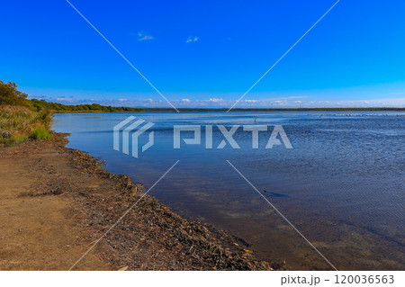 北海道　苫小牧市にある ウトナイ湖 120036563