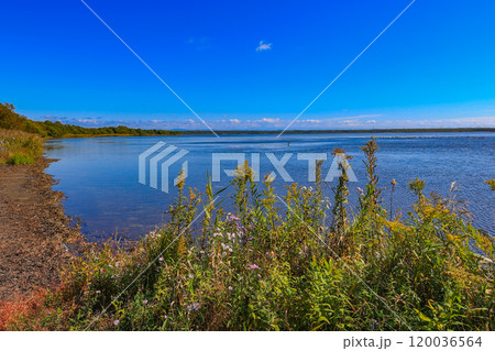 北海道　苫小牧市にある ウトナイ湖 120036564