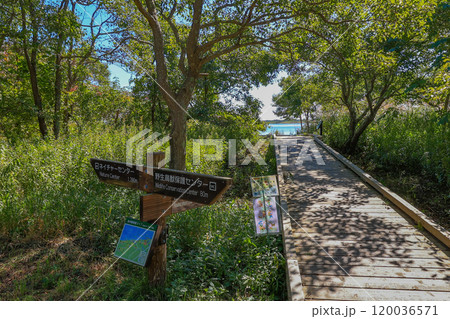 北海道　苫小牧市にある ウトナイ湖の遊歩道 120036571