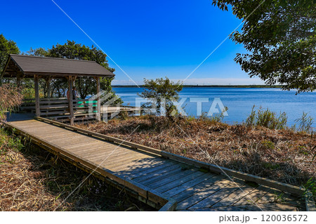 北海道　苫小牧市にある ウトナイ湖の遊歩道 120036572