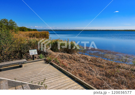 北海道　苫小牧市にある ウトナイ湖の遊歩道 120036577