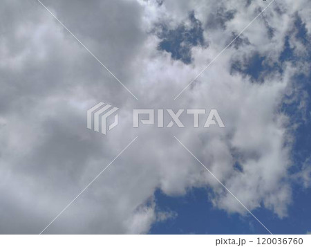 青空 120036760