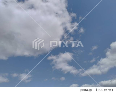 青空 120036764