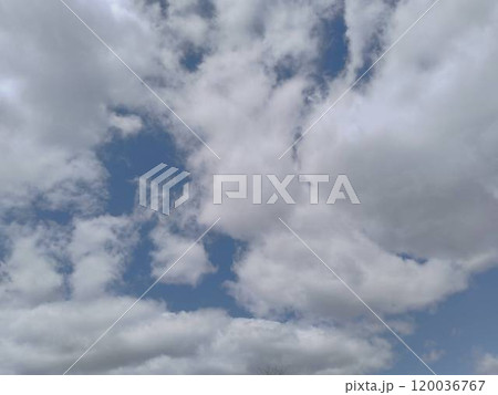 青空 120036767
