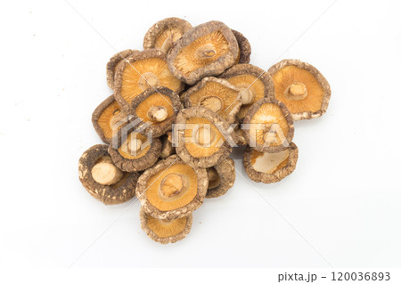 dried mushrooms on white background dried mushrooms on white background 120036893
