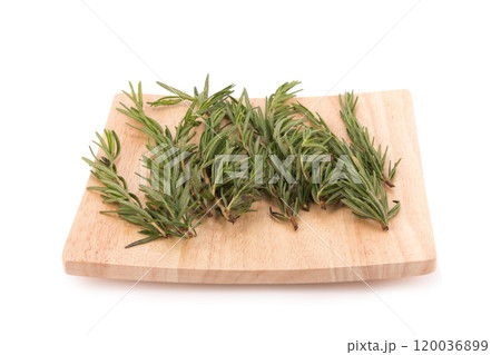 rosemary isolated on white background 120036899