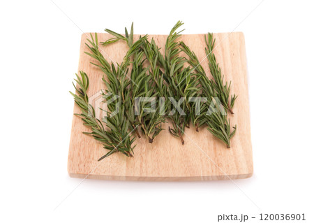 rosemary isolated on white background 120036901