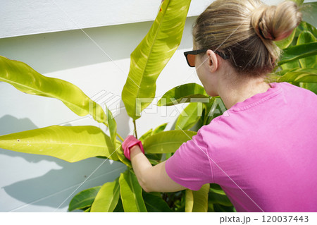 A young woman trims her beautiful garden  120037443