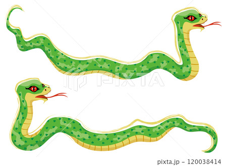 巳年の蛇のイラスト 120038414