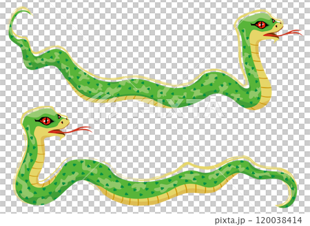巳年の蛇のイラスト 120038414
