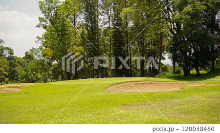 Green grass and woods on a golf field. View of Golf Course with beautiful putting green. Green grass and woods on a golf field. View of Golf Course with beautiful putting green. 120038480