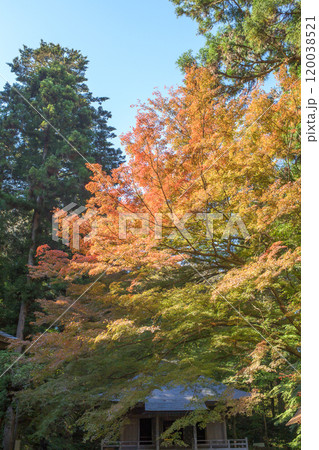 秋の朝 中尊寺 美しい紅葉と経蔵 岩手県 秋の朝 中尊寺 美しい紅葉と経蔵 岩手県 120038521