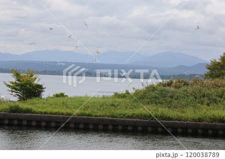 琵琶湖と飛び立つ鳥 琵琶湖と飛び立つ鳥 120038789