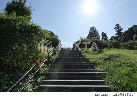 太陽と階段 120038819