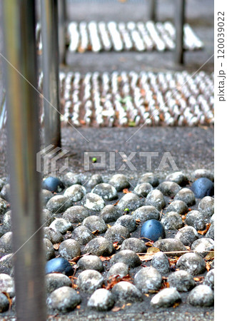 足つぼ遊歩道 足つぼ遊歩道 120039022