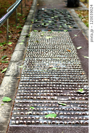 足つぼ遊歩道 120039024