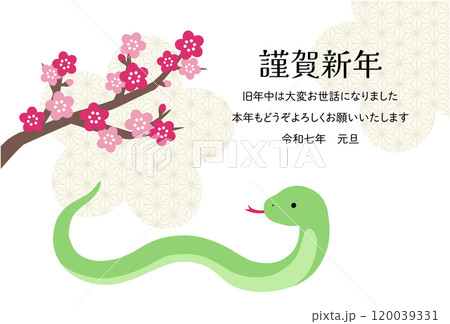 2025年巳年の年賀状テンプレート 蛇年 かわいい 梅の花 ベクター 2025年巳年の年賀状テンプレート 蛇年 かわいい 梅の花 ベクター 120039331